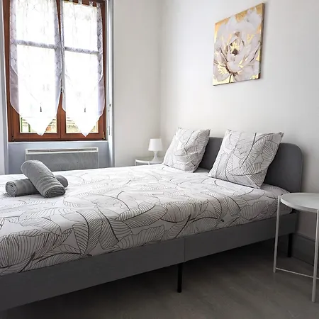 Le Mirage - Appartement 2 Chambres, Salon, Cuisine Equipee, Parking Et Wifi Gratuit Mulhouse Exterior photo